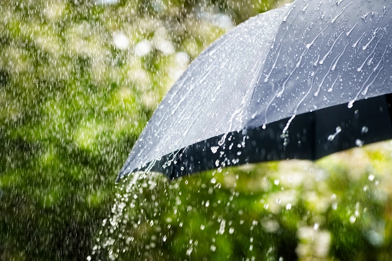 Regenschirm Regenschirm © StockPhoto/BrianAJackson